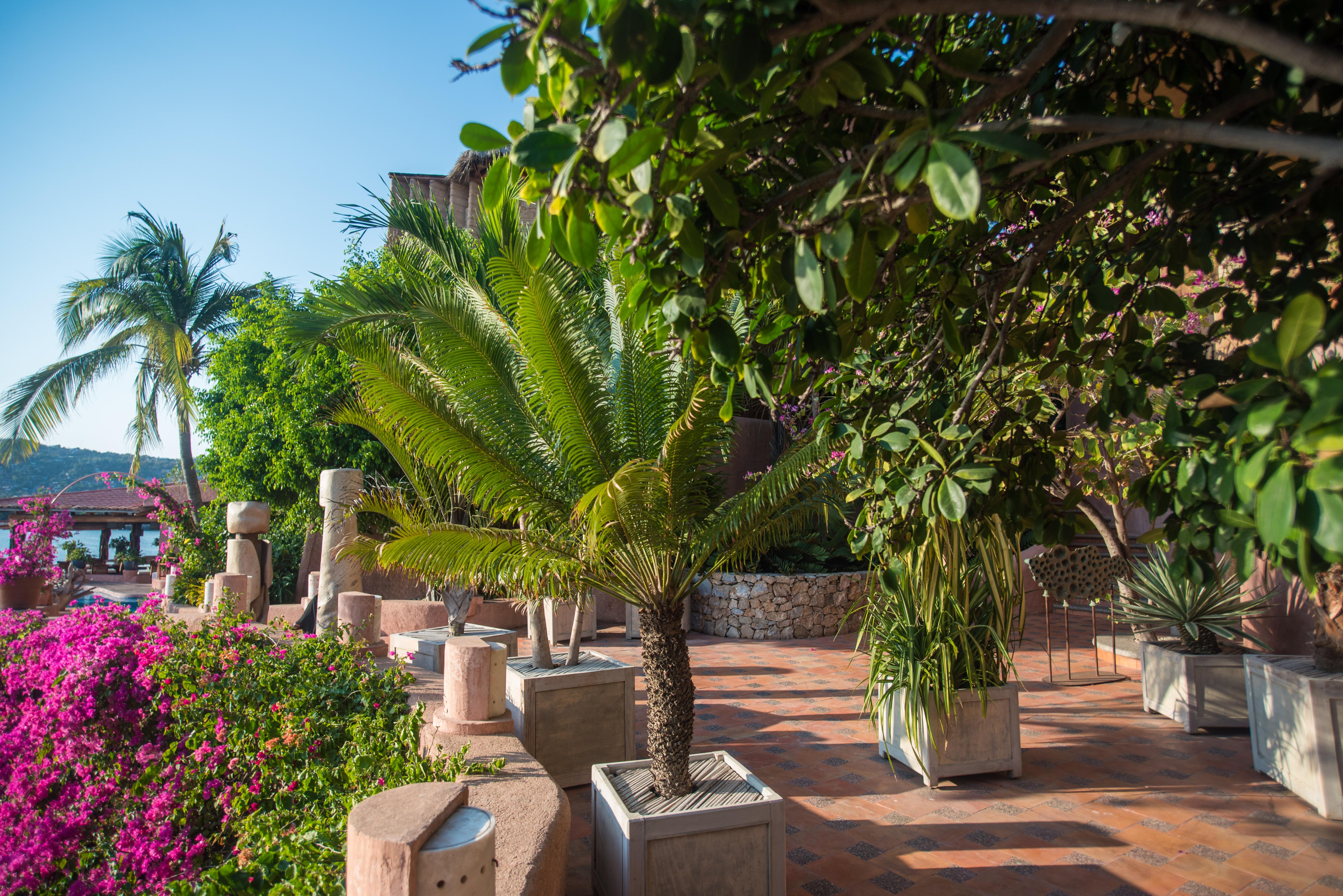 La Casa Que Canta (Adults Only) Zihuatanejo Exteriér fotografie